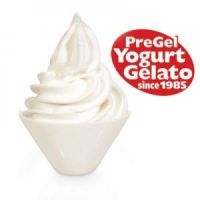 PREGEL Frozen Joghurt  1