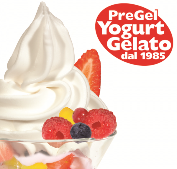 PREGEL Frozen Joghurt  2